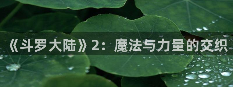 漫蛙漫画在线登录入口网站