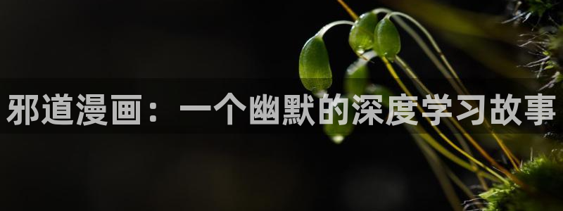 漫蛙xiaz：邪道漫画：一个幽默的深度学习故事