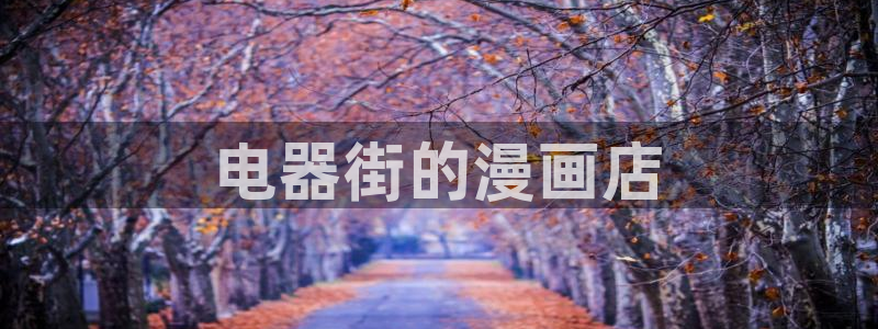 漫蛙跳转：电器街的漫画店