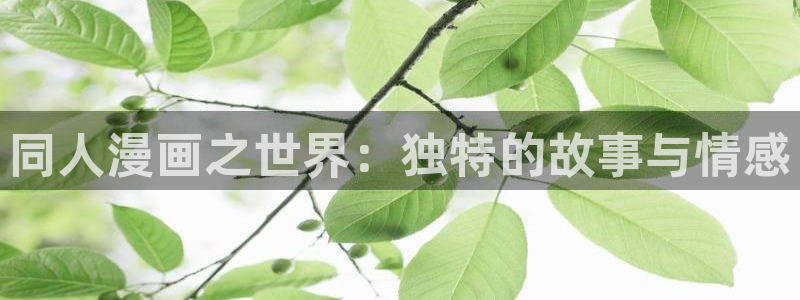 漫蛙6：同人漫画之世界：独特的故事与情感