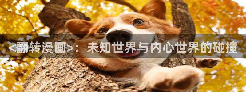 漫蛙2无删减：<翻转漫画>：未知世界与内心世界的碰撞