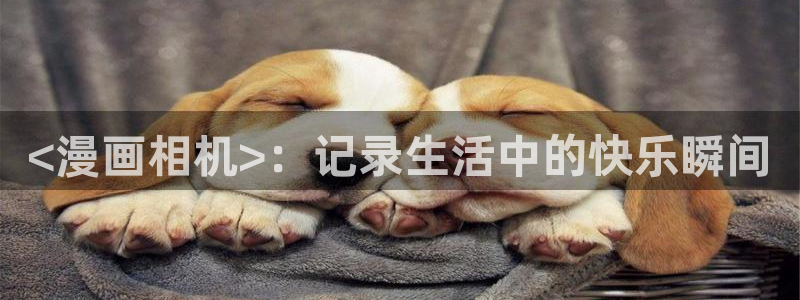 漫蛙网址大全：<漫画相机>：记录生活中的快乐瞬间