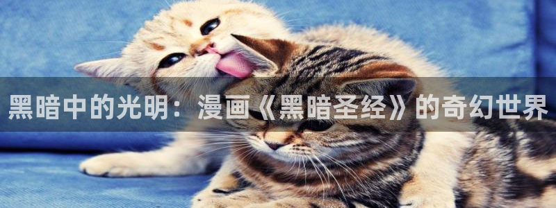 漫蛙漫画官网版最新版：黑暗中的光明：漫画《黑暗圣经》的奇幻世界