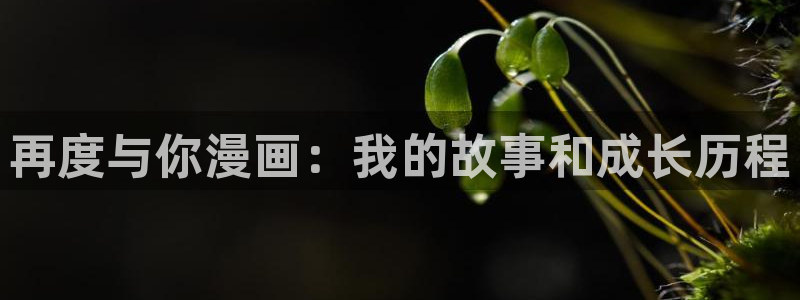 漫蛙manwa防走失