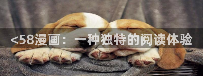 漫蛙2manwa