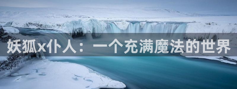 漫蛙2正版入口
