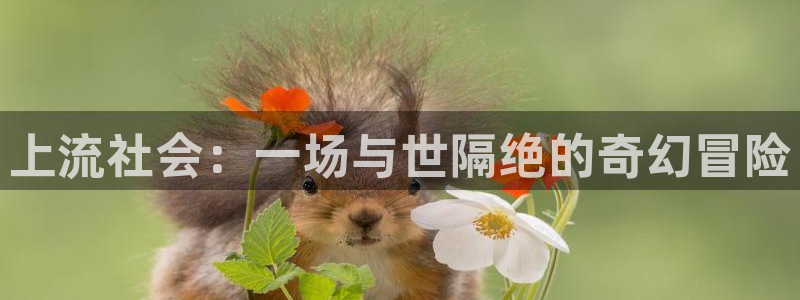 漫蛙网站