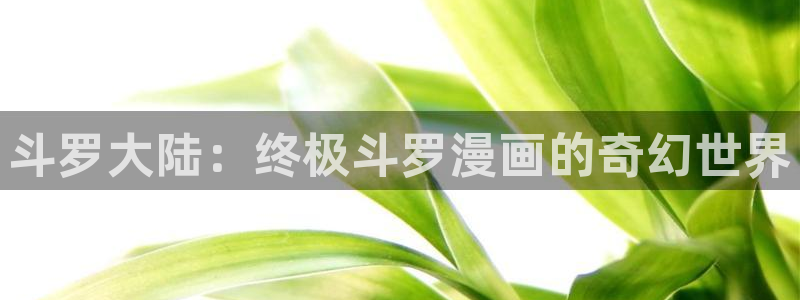 www.漫蛙.com